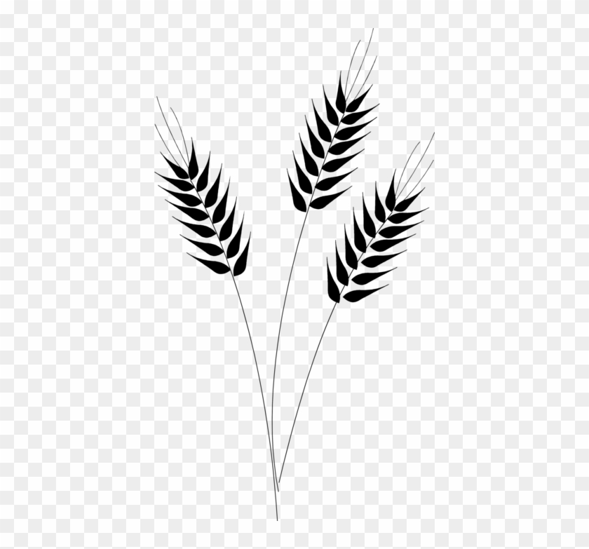 Wheat Clip Art Black And White - Wheat Clip Art Png #998161