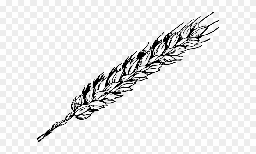 Wheat Clip Art Wheat Clip Art Vector Online Clipart - Rye Black And White #998167