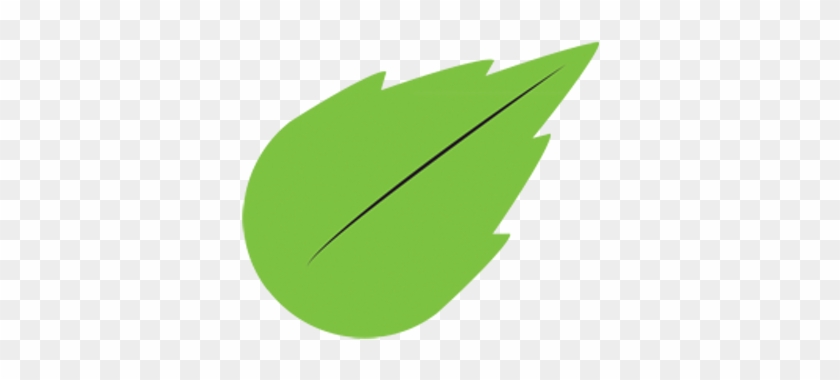 Fresh Mint Labs - Fresh Mint Labs #998170