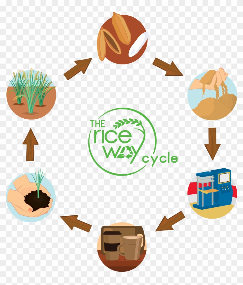 Eco Friendly Travel Mug Made From Rice Husk - Eco Friendly Travel Mug Made From Rice Husk #998171