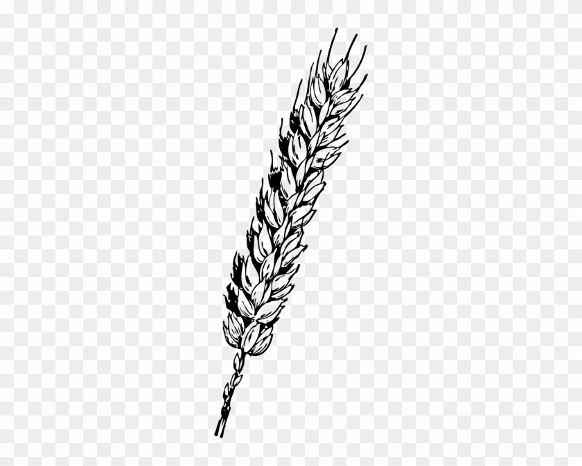 Wheat Clip Art Black And White Download - Wheat Clip Art Black And White Download #998198