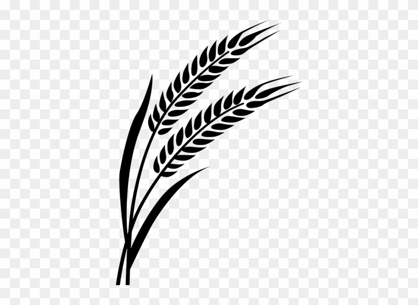Download Wheat Decal Wheat Free Transparent Png Clipart Images Download