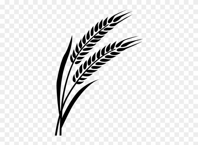 Wheat Decal - Wheat #998207