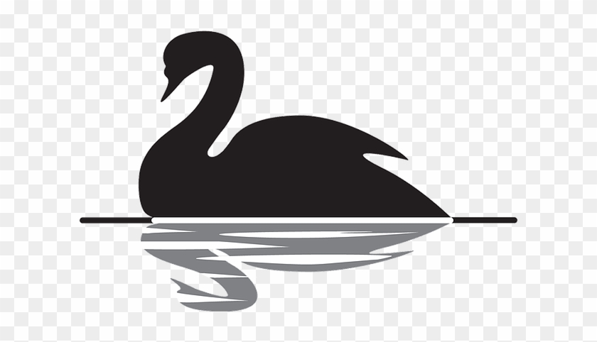 The Black Swan - Swan Black And White Png #998540