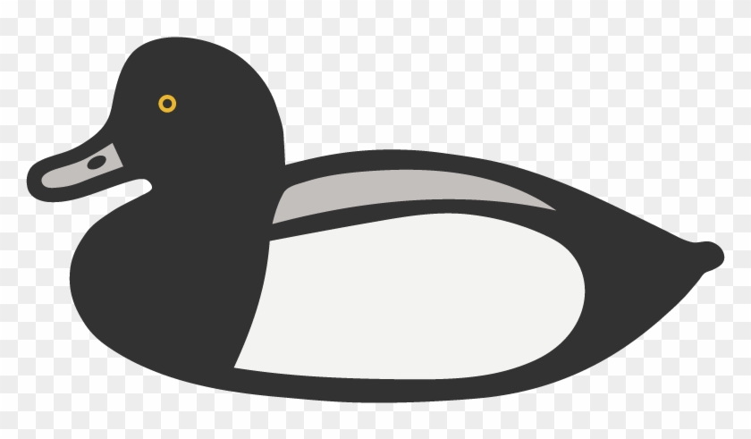 D - E - C - Recognizes South Shores Involvement In - D - E - C - Recognizes South Shores Involvement In #998567