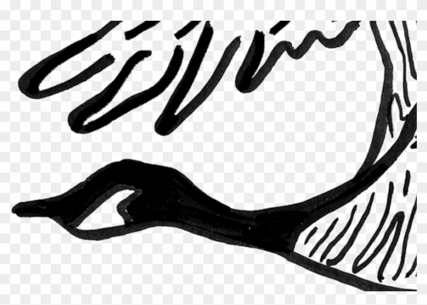 Wild Geese - Illustration #998591