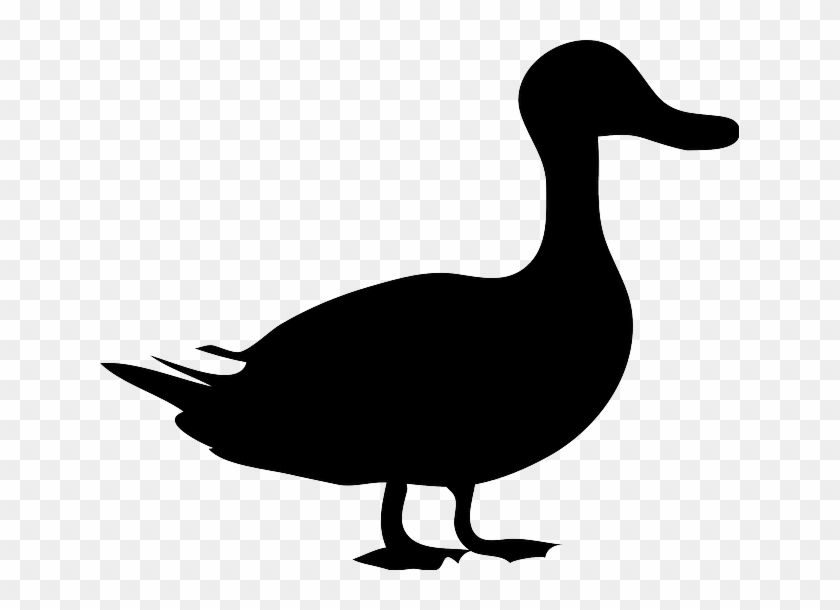 Black Duck - Duck Clipart Silhouette #998599