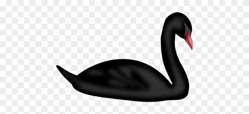Black And White Scrap - Black Swan #998606