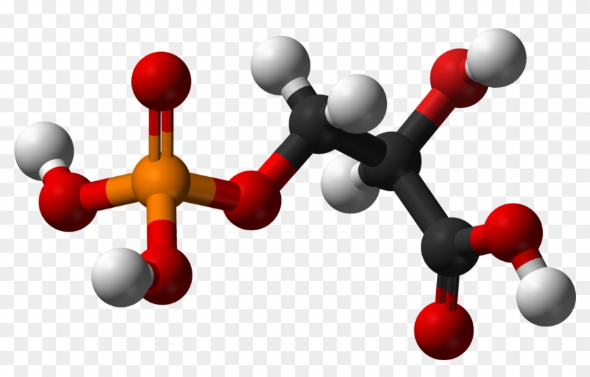 3 Phospho D Glyceric Ac - Trans Butadiene #998697