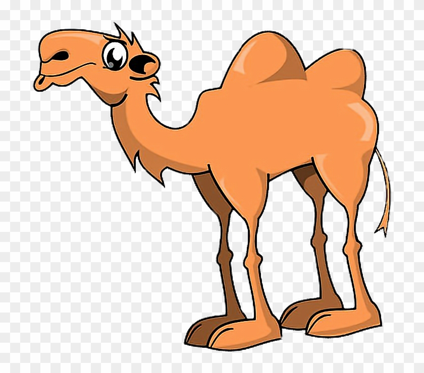 Animals Camel Hump Humpday Freetoedit - Two Humped Camel Cartoon - Free  Transparent PNG Clipart Images Download