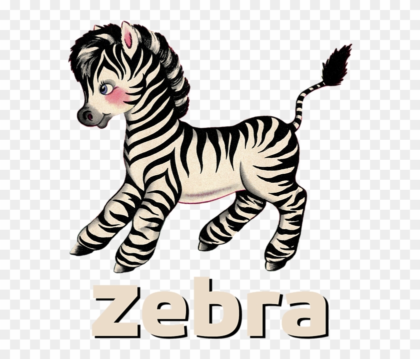 Cute Baby Zebra Pattern - Niedliche Kleine Retro Vintage Zebrapostkarte Postkarte #999526