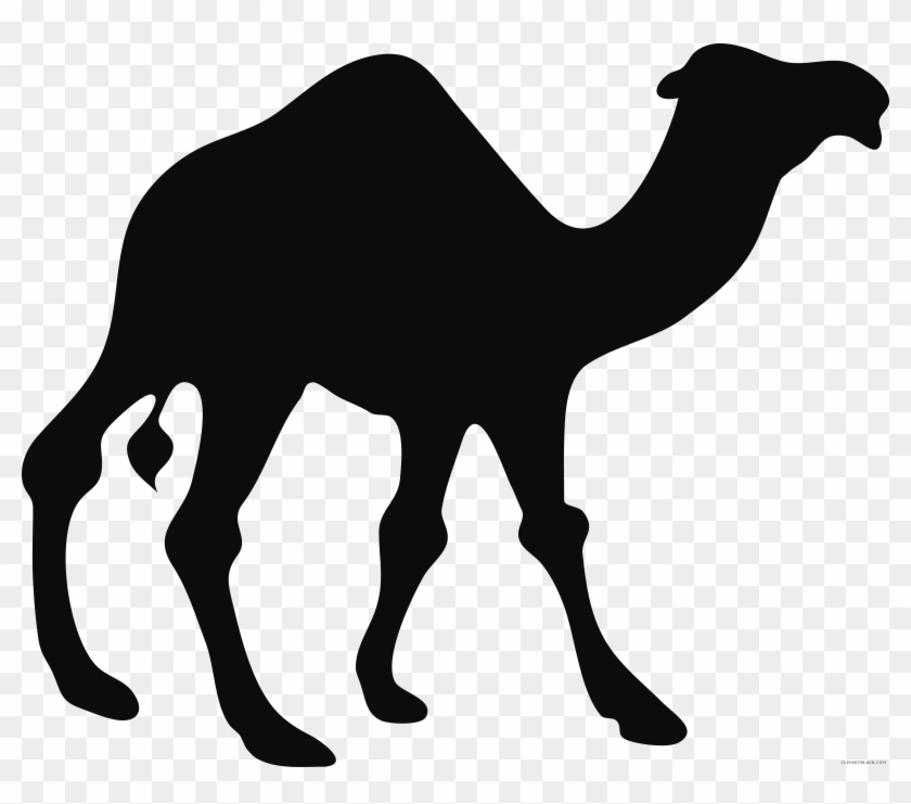 Black And White Camel Animal Free Black White Clipart - Camel Clipart #999546