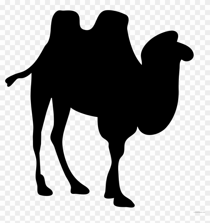 Black And White Camel Animal Free Black White Clipart - Camel Silhouette Transparent #999547