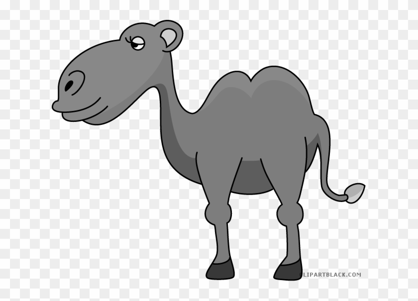 Camel Animal Free Black White Clipart Images Clipartblack - Clip Art #999554