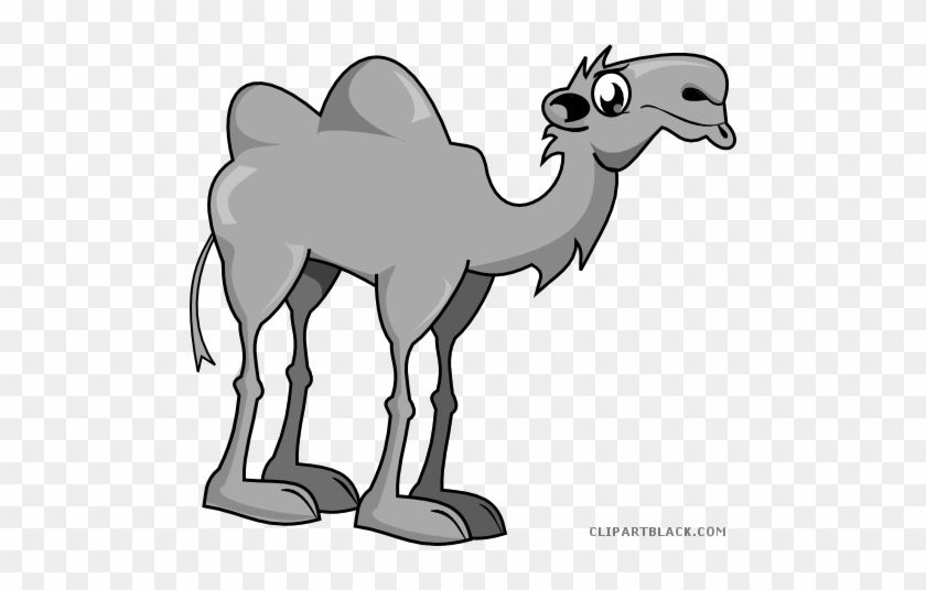 Camel Animal Free Black White Clipart Images Clipartblack - Clip Art Camel #999555