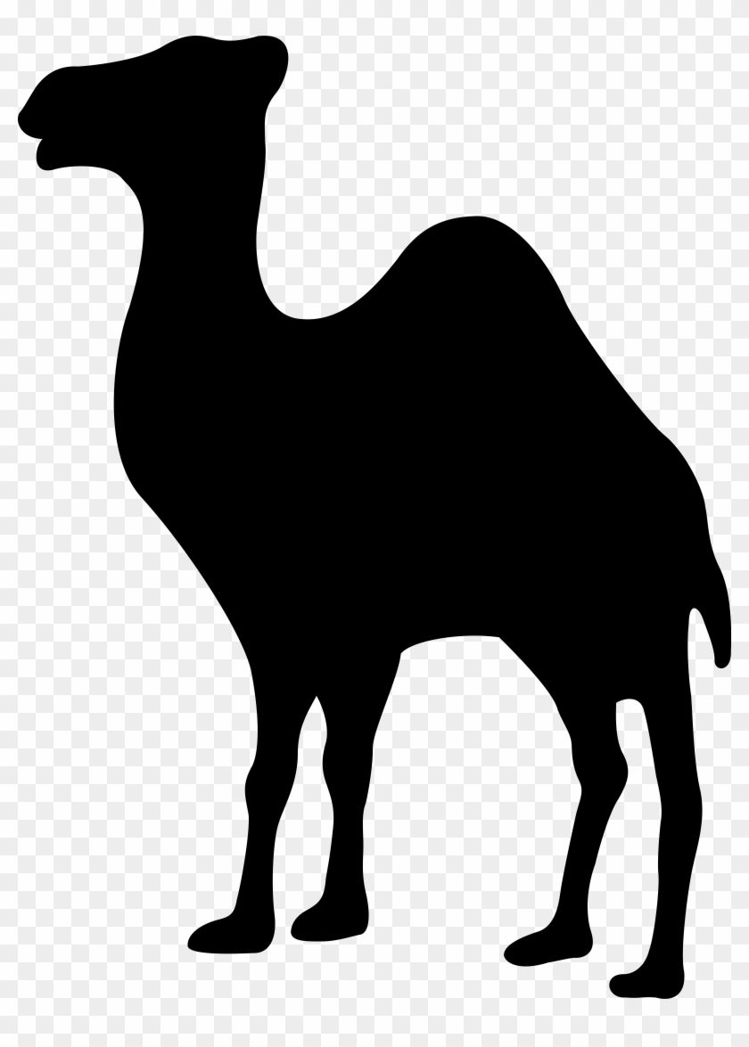 Camel Logo Black And White - Camel Symbol #999557