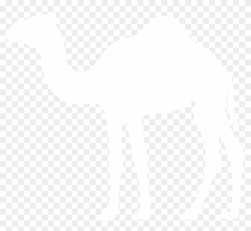 Camel Silhouette By Paperlightbox Camel Silhouette - Digital Art #999564