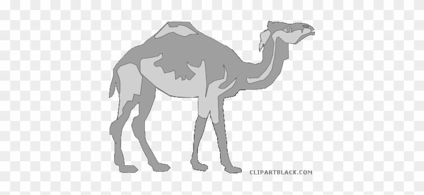 Camel Animal Free Black White Clipart Images Clipartblack - Arabian Camel #999565
