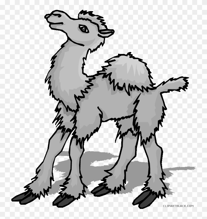 Camel Animal Free Black White Clipart Images Clipartblack - Moving Picture Of A Camel #999568