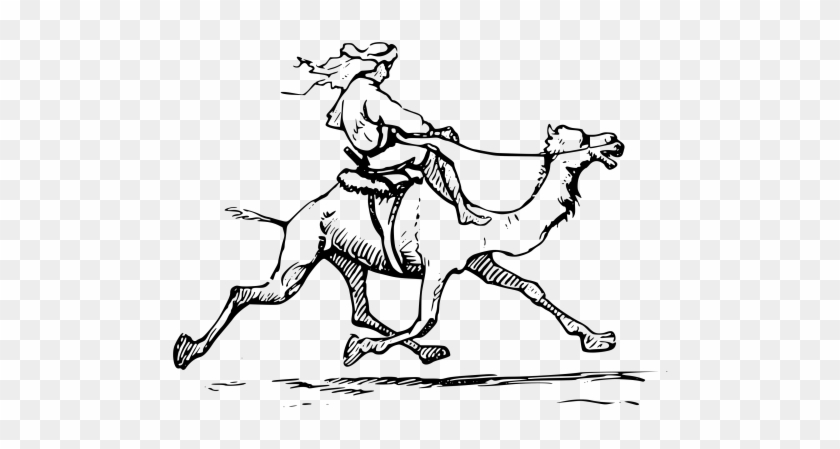Save - Man Riding Camel Gif #999570