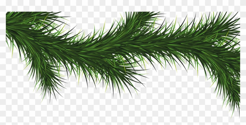 Christmas Tree Branch Vector Png #999604
