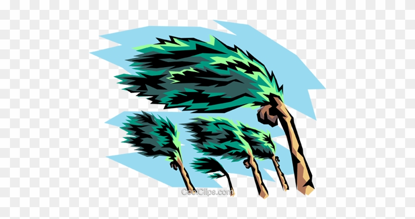 Hurricane Winds And Palm Tree Royalty Free Vector Clip - Does Wind Affect Weather #999605