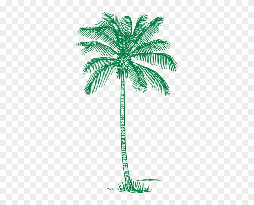 Palm Tree - Green Palm Tree Clipart #999609
