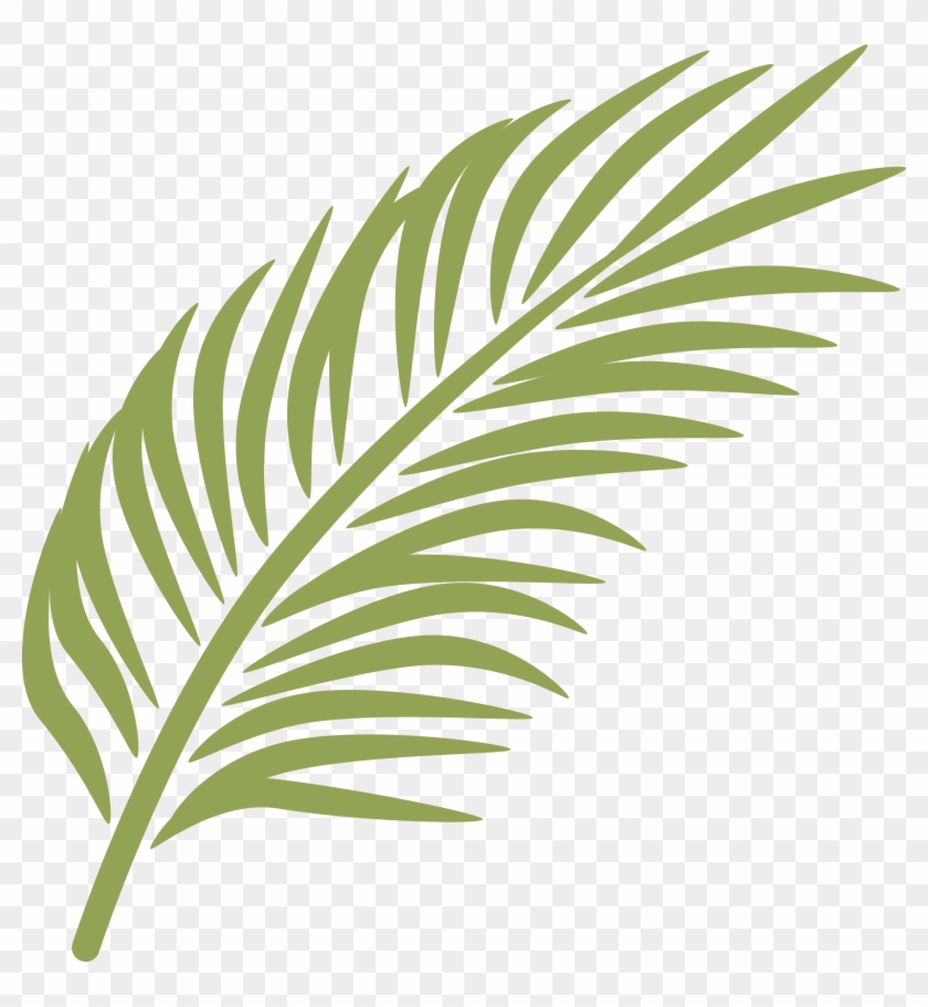 Palm Branch Palm Sunday Arecaceae Clip Art - Palm Leaves Clip Art #999631