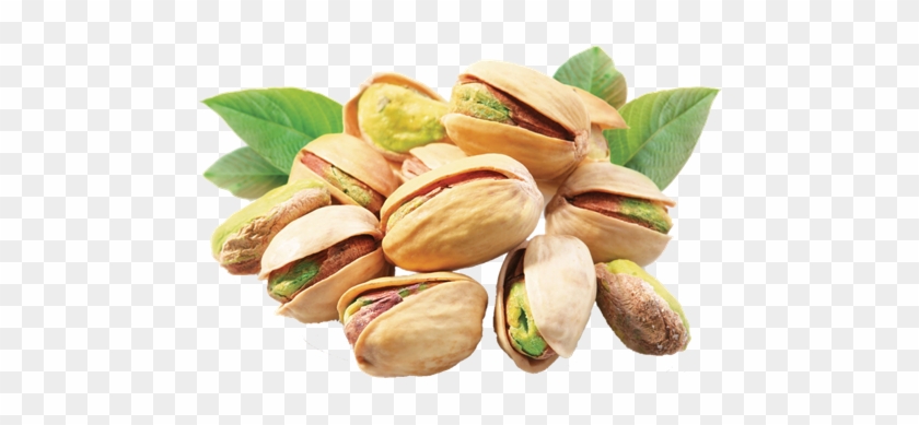 Balkrishna Agro - Pistachios #999703