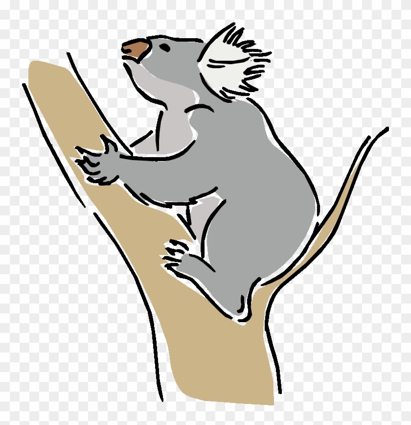 Free On Tree Branch Koala Clipart - Clip Art #999715