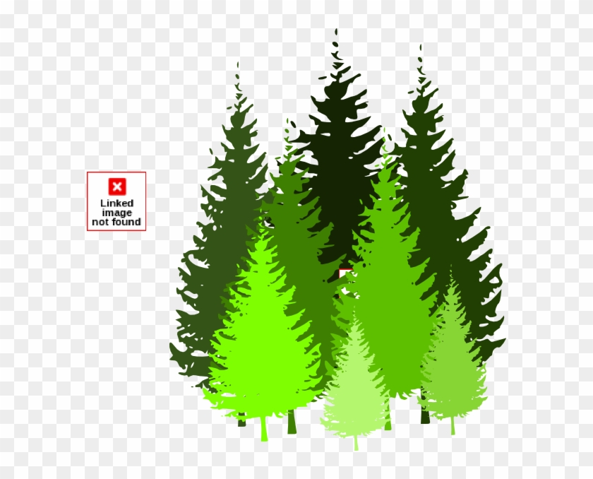 Pine Trees Clip Art At Clker - Pine Tree Vector Png #999723