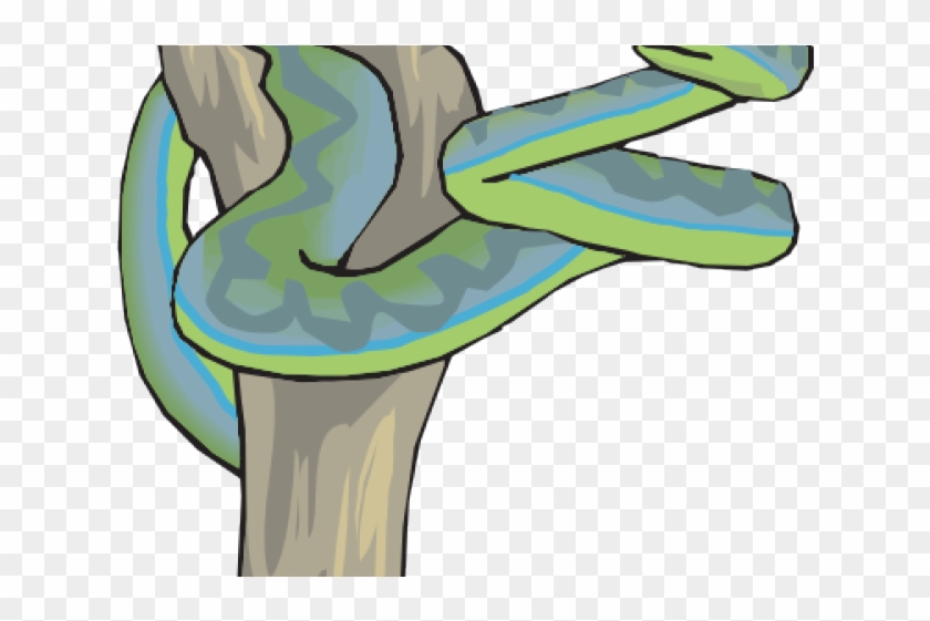 Snake Clipart Tree - Snakes #999848