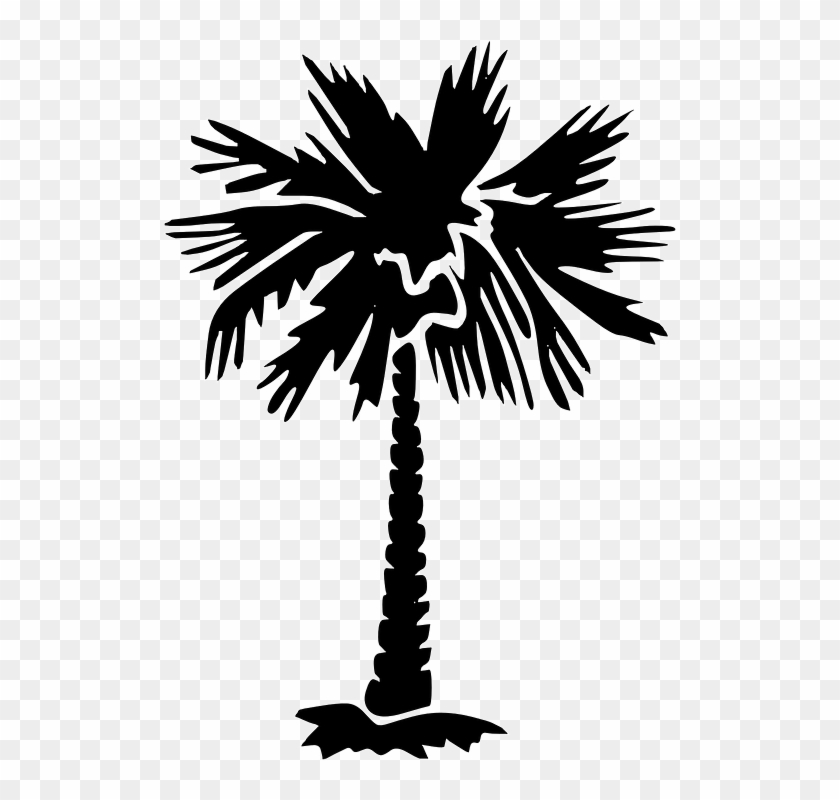 Palm Tree Clipart 20, - Palmetto Tree Png #999882