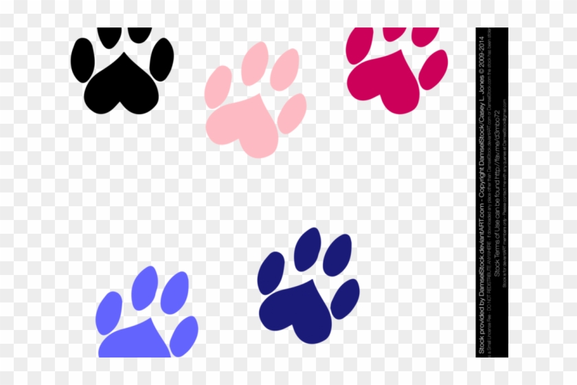 Dog Paw Prints Clipart - Dogs Paws Transparent Png #999886