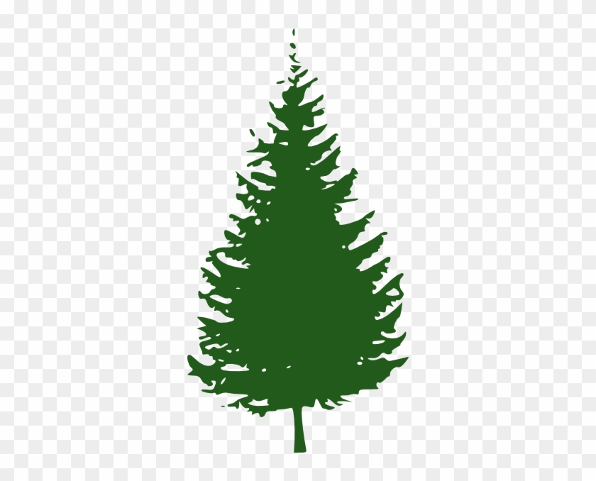 Fir Tree Clipart Redwood Tree - Redwood Tree Clip Art #999893