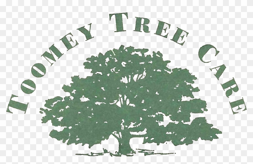 Lakeville Tree Care, Landscaping And Planting - Bentwood Jewelry Designs - Custom Wood Rings Refinish #1000069