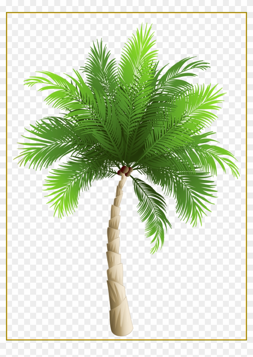 Coconut Tree Coconut Tree Png Hd Best Palm Tree Png - Palm Tree Png Transparent #1000126