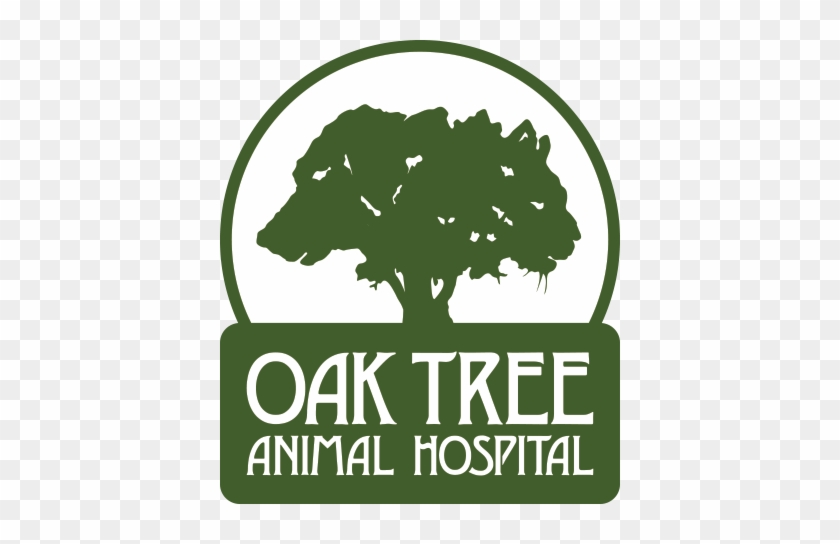 Oak Tree Animal Hospital - Music In The 1920's #1000109