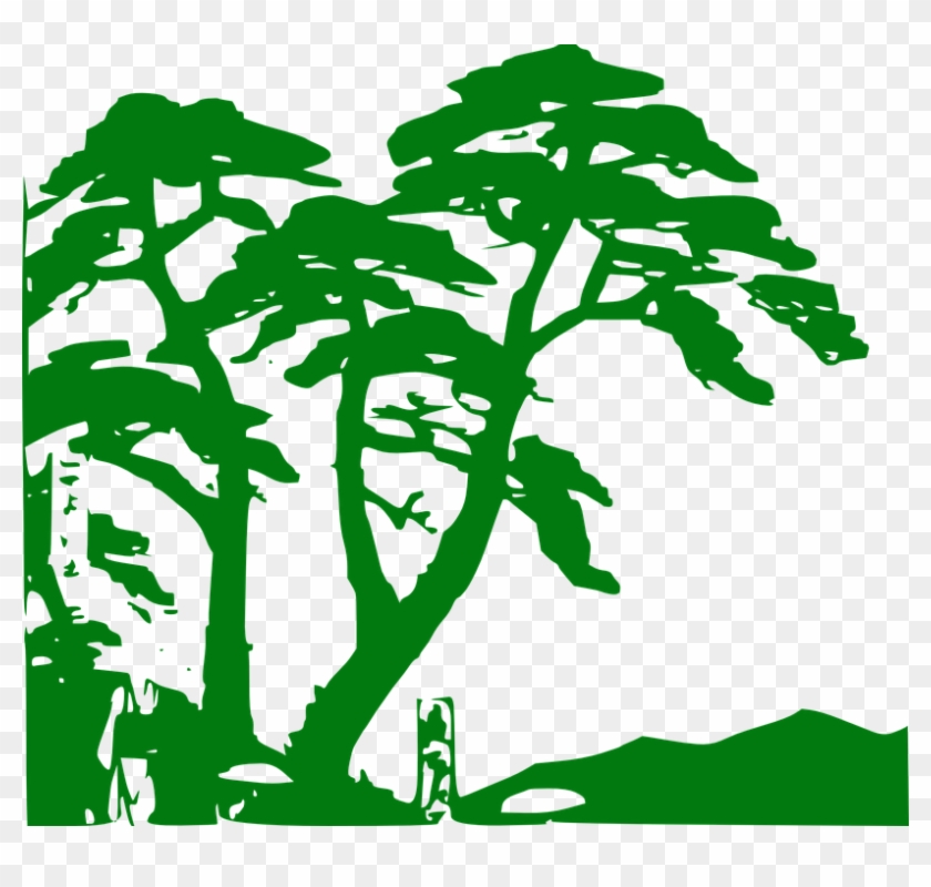 Collection Of Tree Vector Art - Rainforest Clipart #1000130