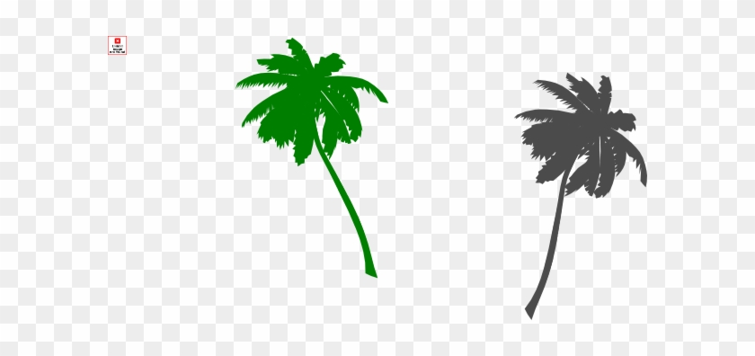 White Palm Tree Transparent #1000173