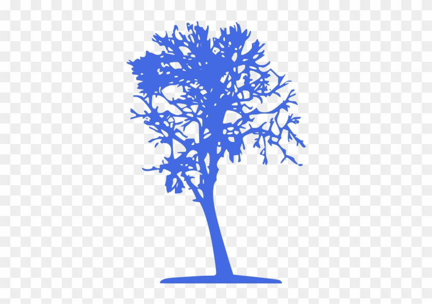 Tree #1000184