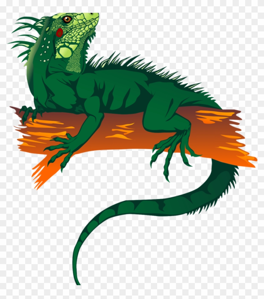 Iguana Clipart Iguanas Lokis Dream House Stuff Pinterest - Free Iguana Clipart #1000202