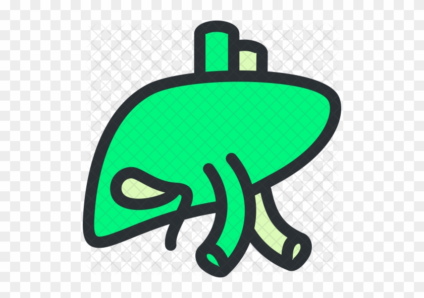 Liver Icon - Liver Icon #1000221