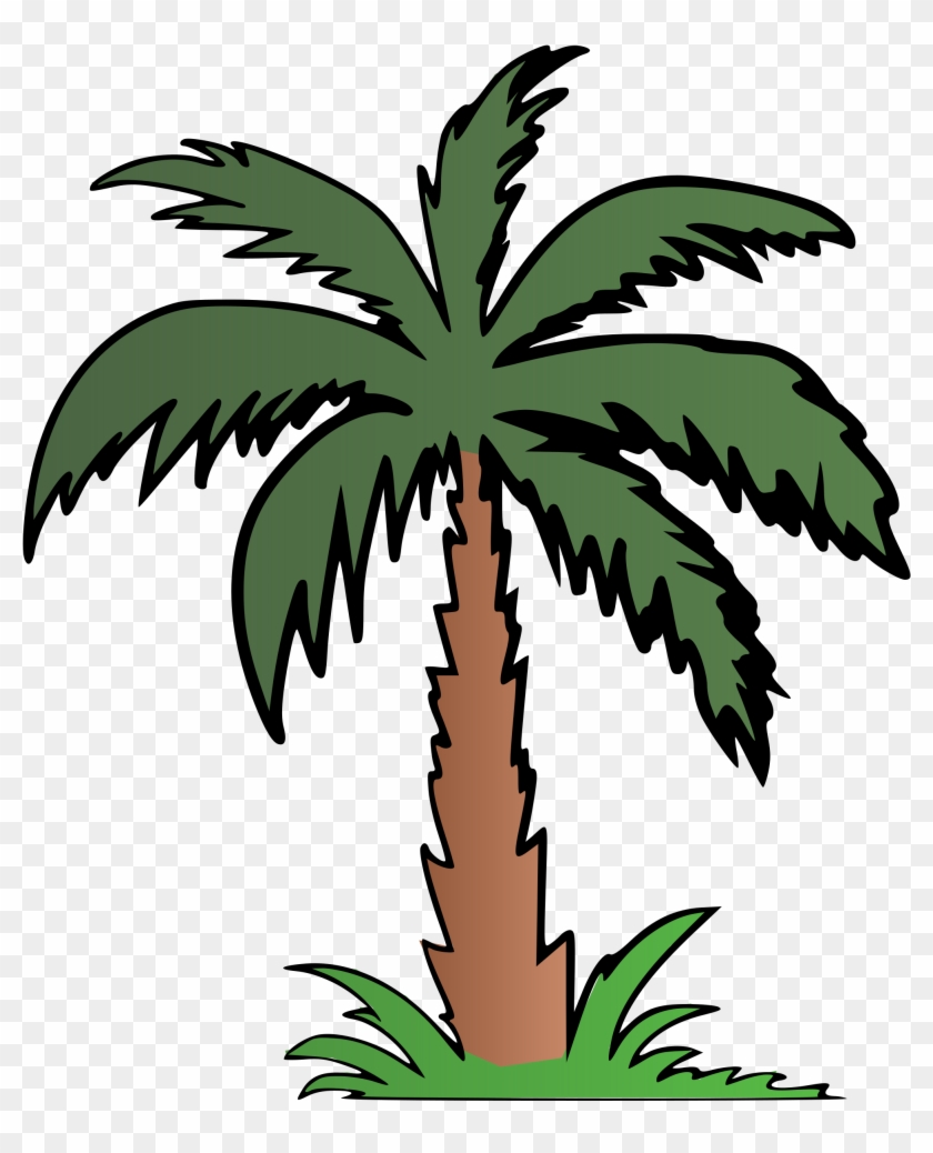 Palm Tree Clipart Terrestrial Plant - Clip Art #1000234