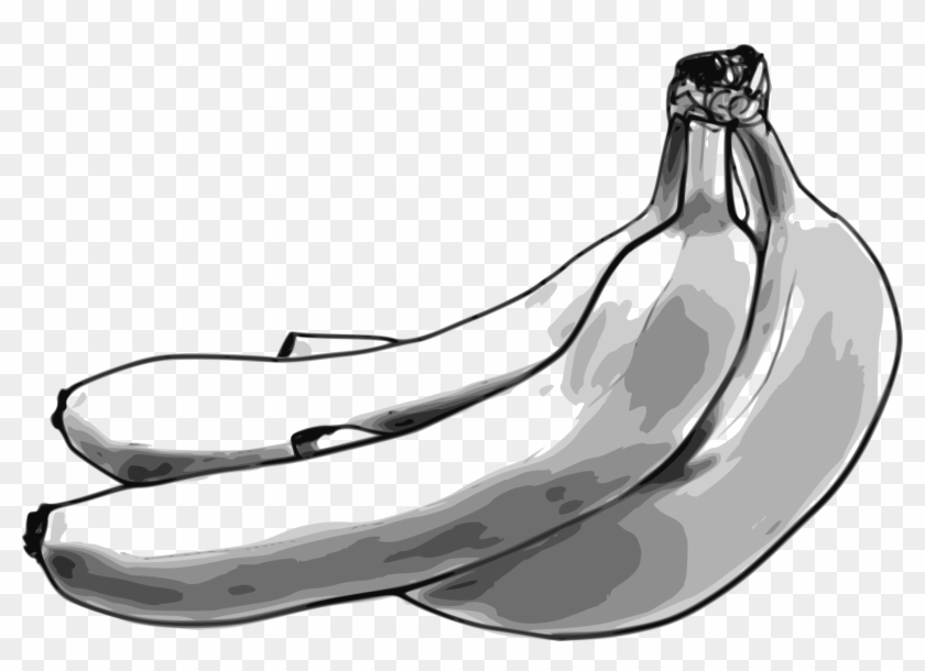 Big Image - Bananas Sketch Shower Curtain #1000238