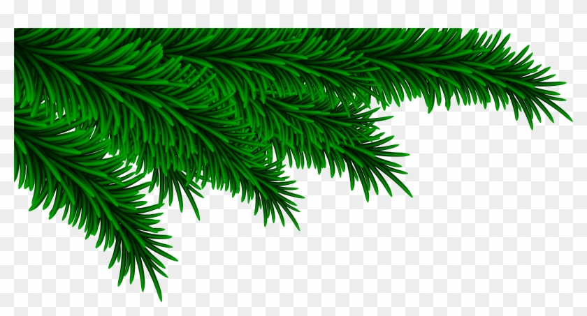 Pine Clipart Transparent - Christmas Pine Decoration Png #1000261
