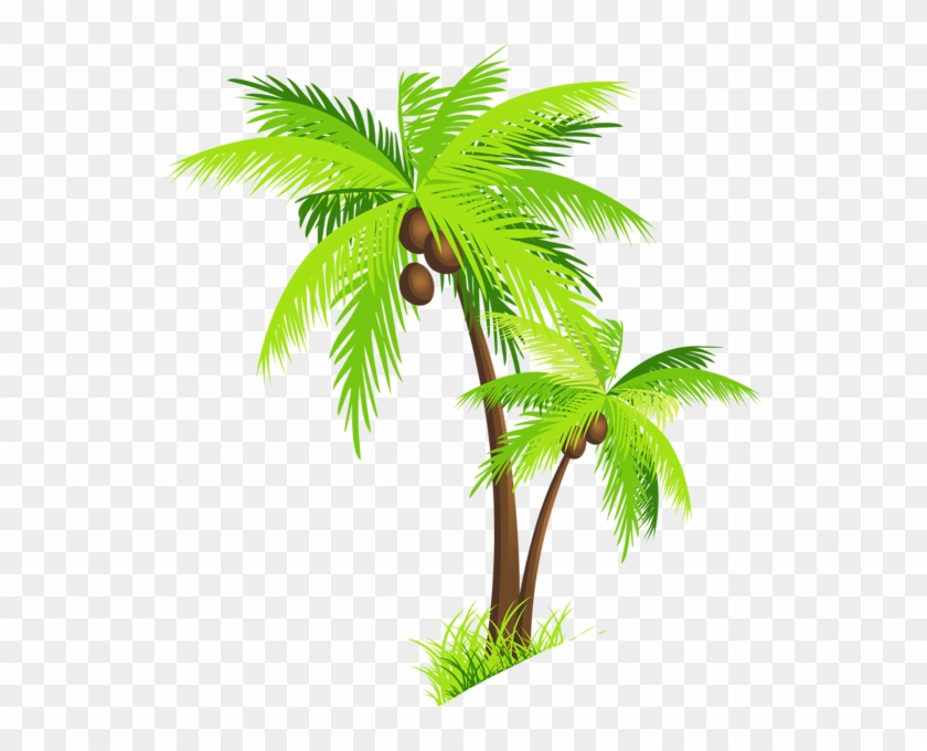 Palm Tree Clipart Image - Transparent Coconut Tree Png #1000320