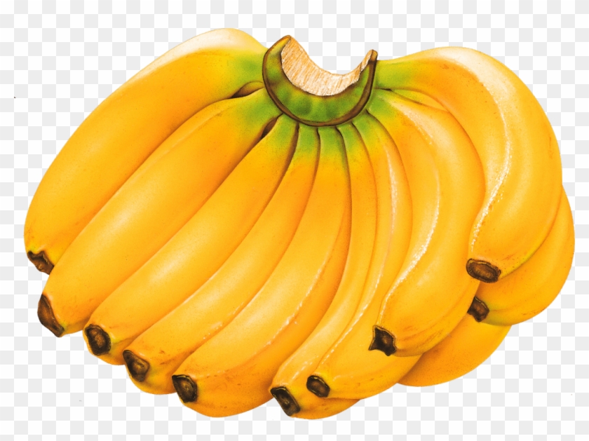 Banana Clipart Six - Banana Fruits #1000420