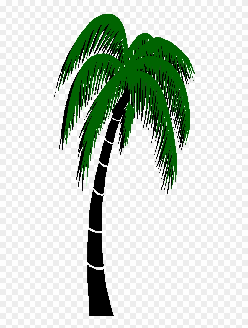 Graphics For Palm Trees Animated Graphics - Animated Palm Tree Gif #1000432