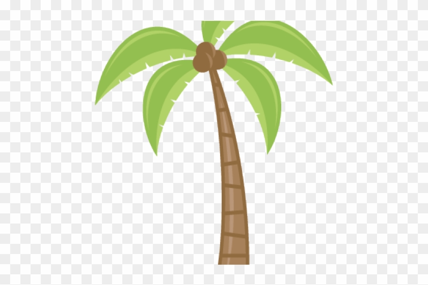 Transparent Cartoon Palm Tree - Clip Art #1000435